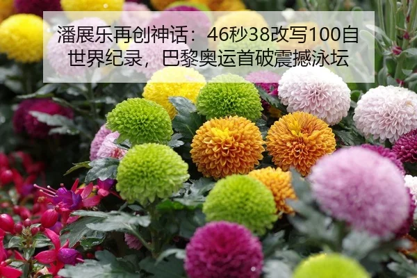 潘展乐再创神话：46秒38改写100自世界纪录，巴黎奥运首破震撼泳坛